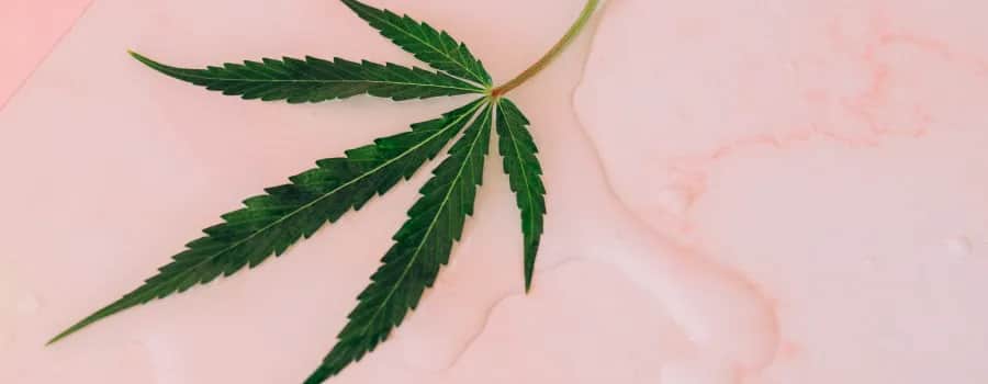 Balsam z konopi na co pomaga - skuteczne wsparcie w bólu i pielęgnacji