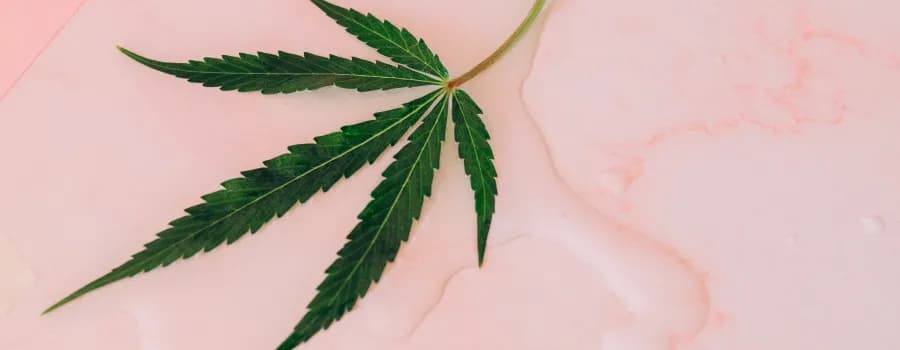 Balsam z konopi na co pomaga - skuteczne wsparcie w bólu i pielęgnacji