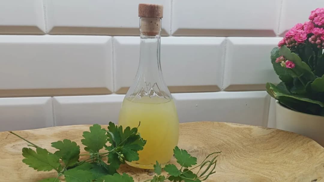 Balsam Bołotowa na co pomaga – poznaj jego niezwykłe właściwości zdrowotne